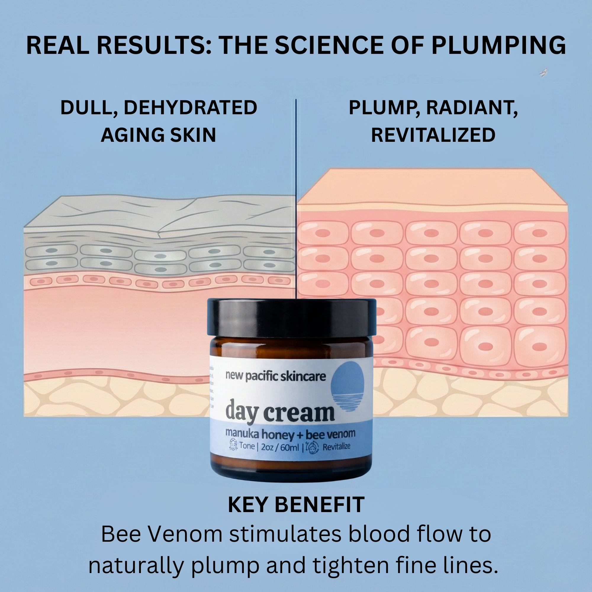 Illustration of skin layers with a jar of New Pacific Skincare day cream, highlighting the benefits of bee venom on skin health.